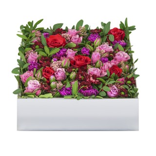 Цветочная коробка из роз, сантини и озотамнуса №4